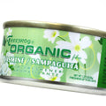 Organic Fiber Air Freshener for Car/Home/Office - Jasmine Scent