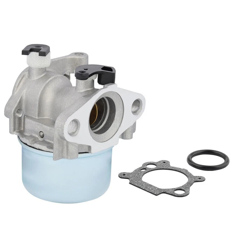 Set of 1 Carburetor for Engines (799866, 794304, 796707, 790845)