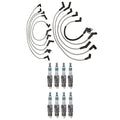 Denso Wire Set & 8 Iridium Power Spark Plugs for Ford 5.0L V8