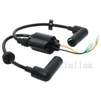 Ignition Coil for Yamaha Outboard (65W-85570-00, 65W-85570-01)