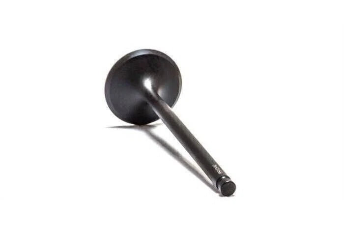 Intake Valve for Yamaha YFM 350 Wolverine (1993–2009)