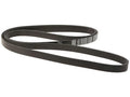 Primary Multi Rib Belt for Jaguar XK8 (2003–2006) PD683BB