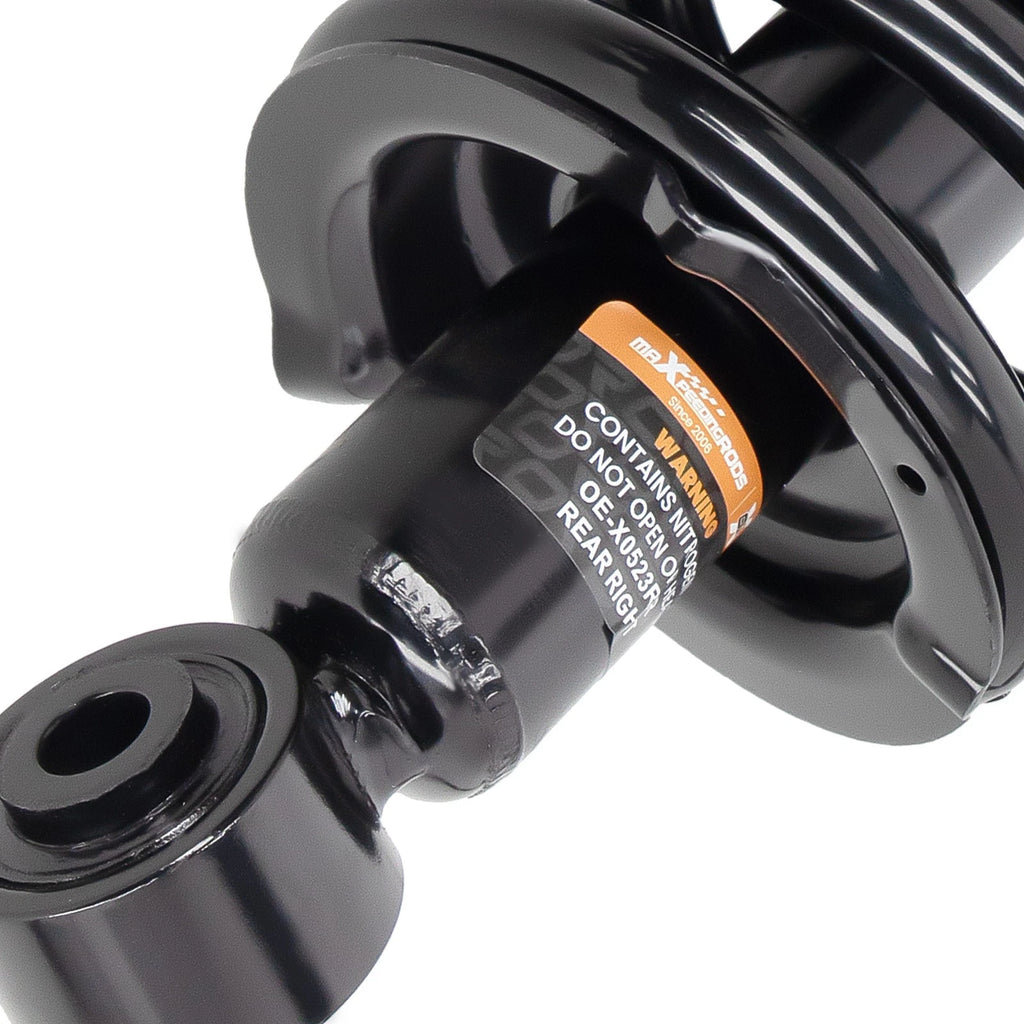 Complete Rear Struts w/Coil Spring for Honda Element (2003-2011)