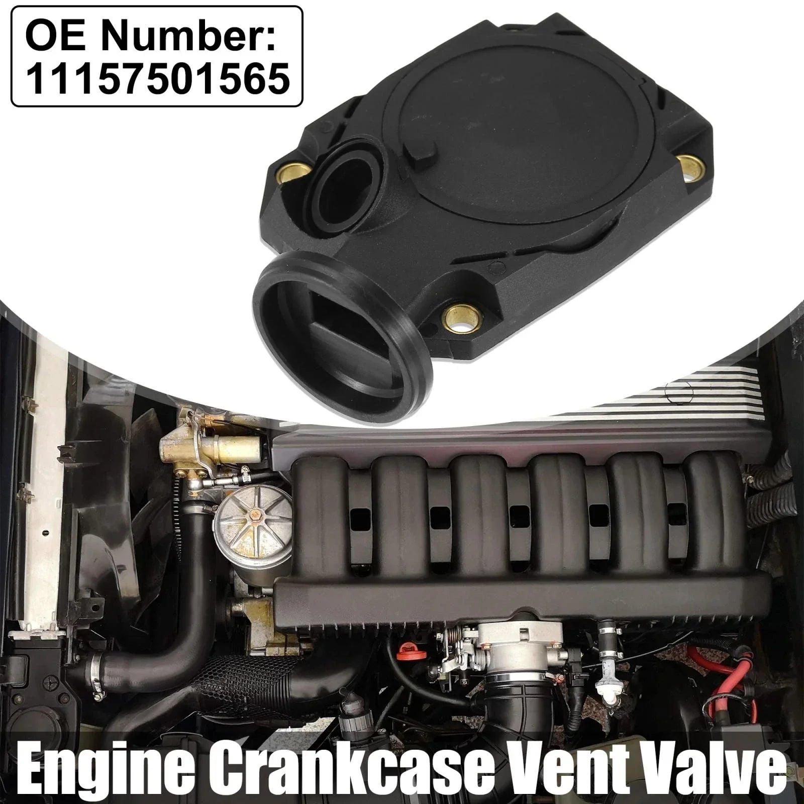 Crankcase Vent Valve for BMW 750iL 850Ci (1995 - 2001)