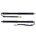 Pair Rear Tailgate Lift Support Strut for Lexus RX350 RX350L RX450hL (2018–2023)