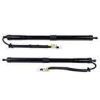 Pair Rear Tailgate Lift Support Strut for Lexus RX350 RX350L RX450hL (2018–2023)