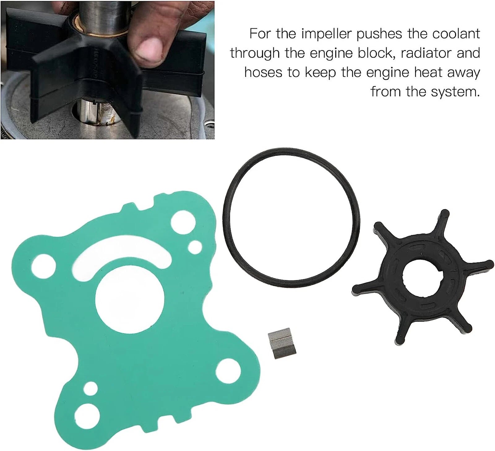 Water Pump Impeller Service Kit for Honda BF15D/BF20D (06192-ZW9-A30)
