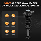 Complete Strut Assembly for Mini Cooper (2002-2006)