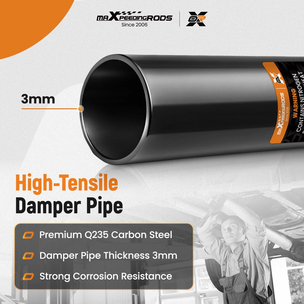 Complete Shocks Struts Coil Spring for Dodge Ram 1500 4WD (2009–2010)