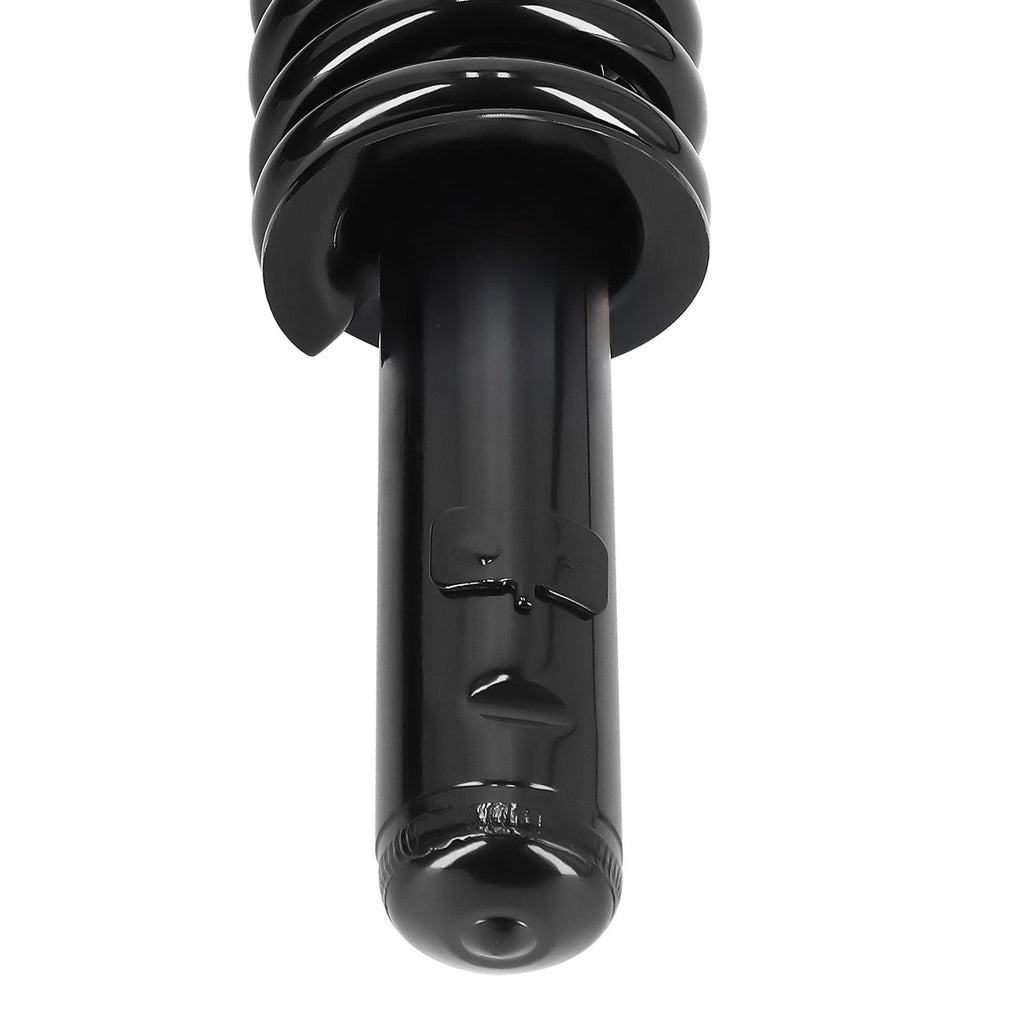 Front Strut w/ Coil Spring Set for Honda Civic DX/EX/HX (1996–2000)