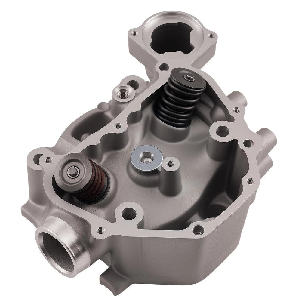 Engine Cylinder Head Rebuild Kit for Honda TRX420 (2009-2024)