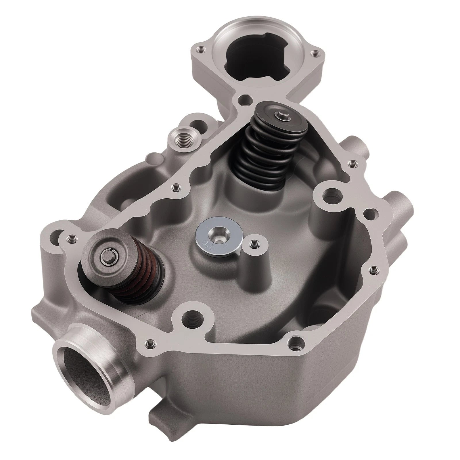 Engine Cylinder Head Rebuild Kit for Honda TRX420 (2009-2024)