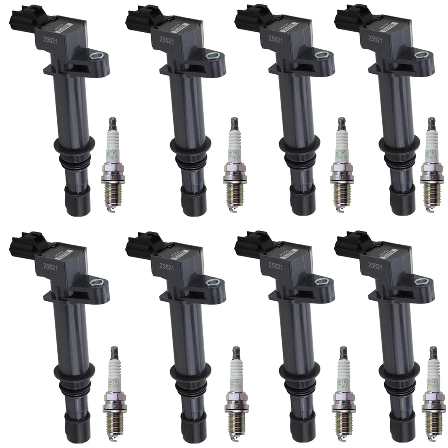 Set of 8 Ignition Coils & NGK Platinum Spark Plugs for Grand Cherokee (1999–2004)