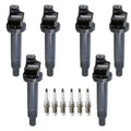 Set of 6 Denso Ignition Coils & Platinum Spark Plugs for Avalon Camry Sienna