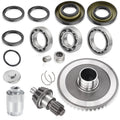 Rear Final Drive Pinion Ring Gear Bearings for Honda Sportrax TRX250EX (2001–2008)