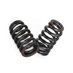PAC-1219 Drop-In Beehive Valve Spring Kit for Chevrolet LS1 (1997–2004)