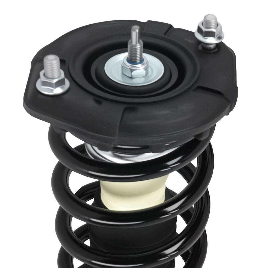 Pair Rear Strut Coil Spring for Nissan Maxima (2000–2003) Infiniti I30 (2000–2001)