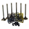 Valve Train Kit for David Brown 780 880 885 1190 1194 Tractors