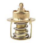 Outboard Motor Thermostat for Evinrude Johnson OMC BRP 55-75 HP