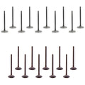 Set of 20 Intake & Exhaust Valves Kit for Canyon Colorado H3 i-350 (2004–2012)