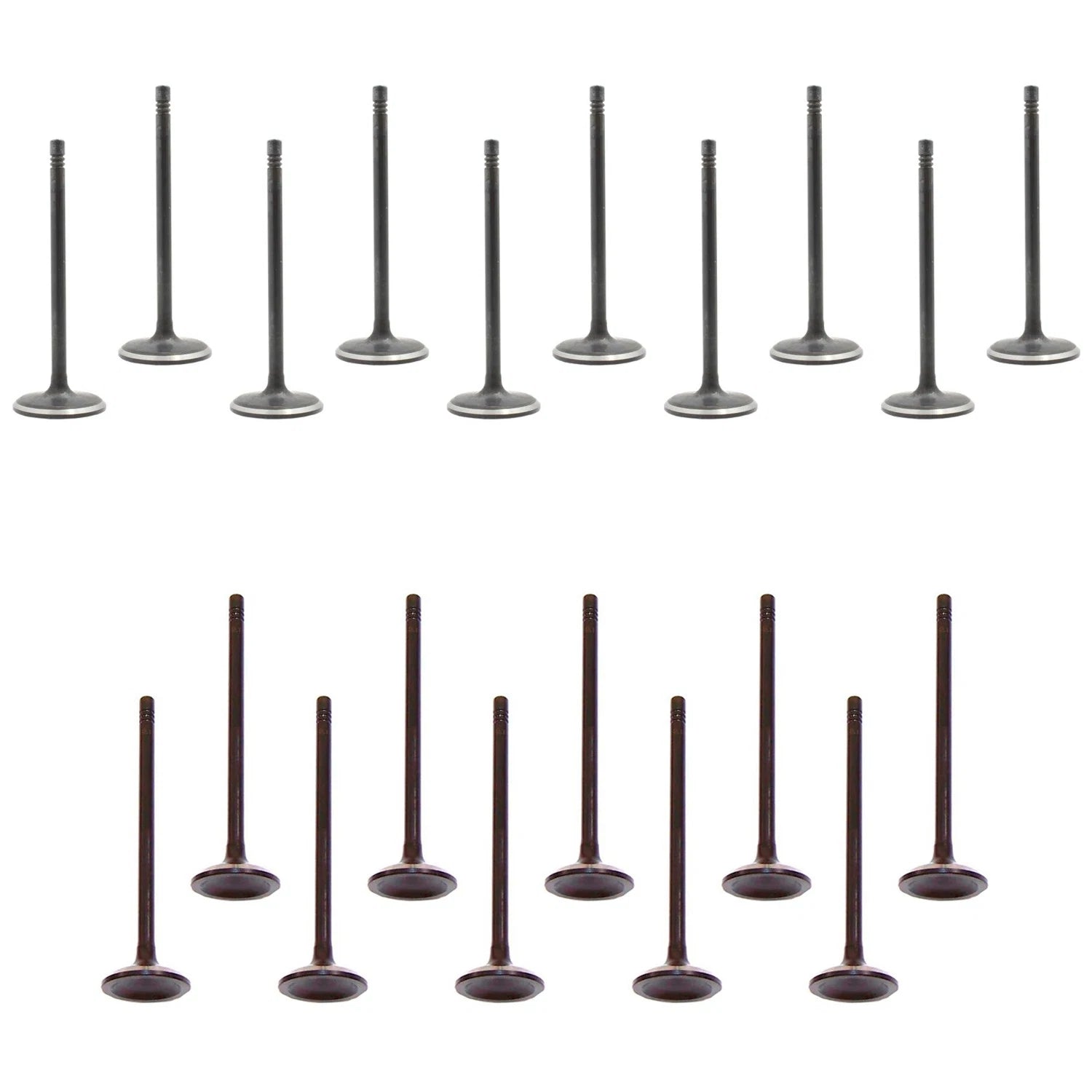 Set of 20 Intake & Exhaust Valves Kit for Canyon Colorado H3 i-350 (2004–2012)