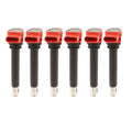 Set of 6 Ignition Coils for Audi Porsche Volkswagen V6 (Bosch)