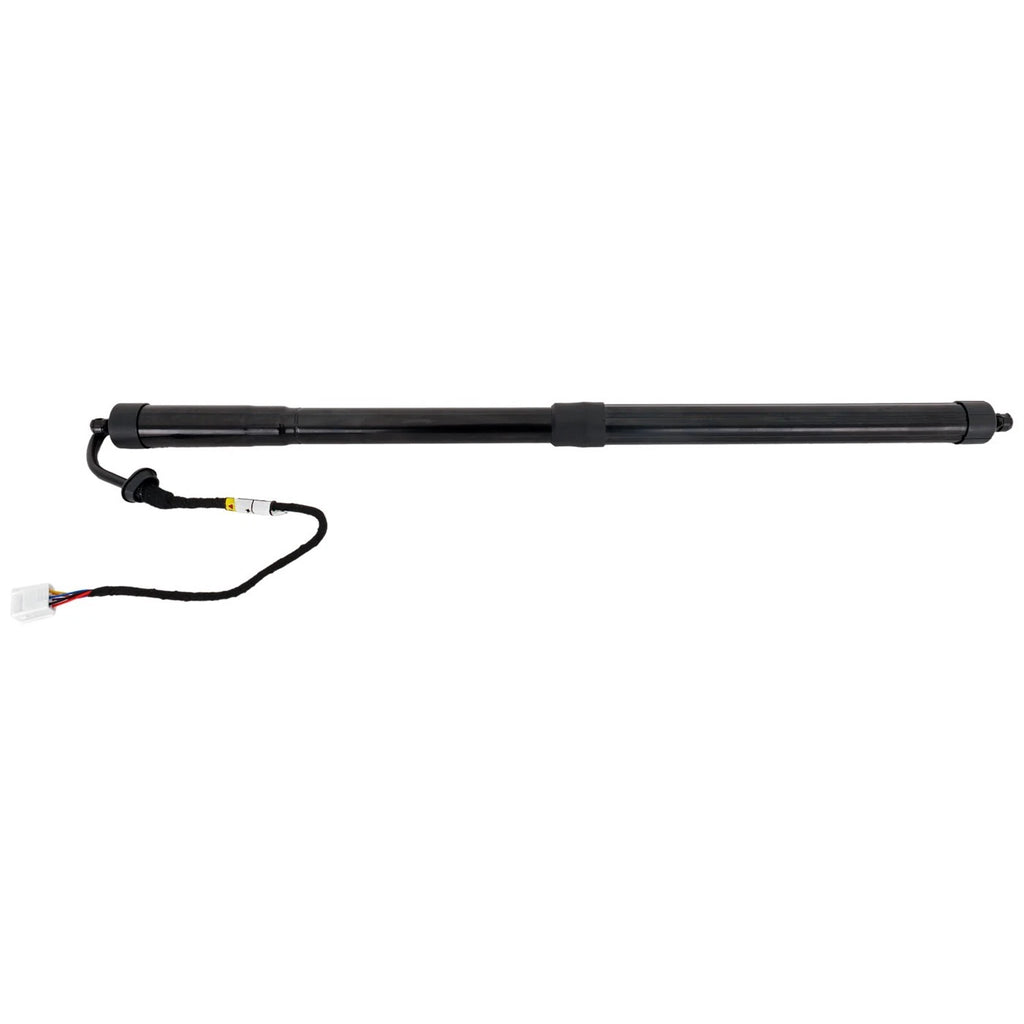 Liftgate Lift Supports for Lexus RX350 (2016–2019)