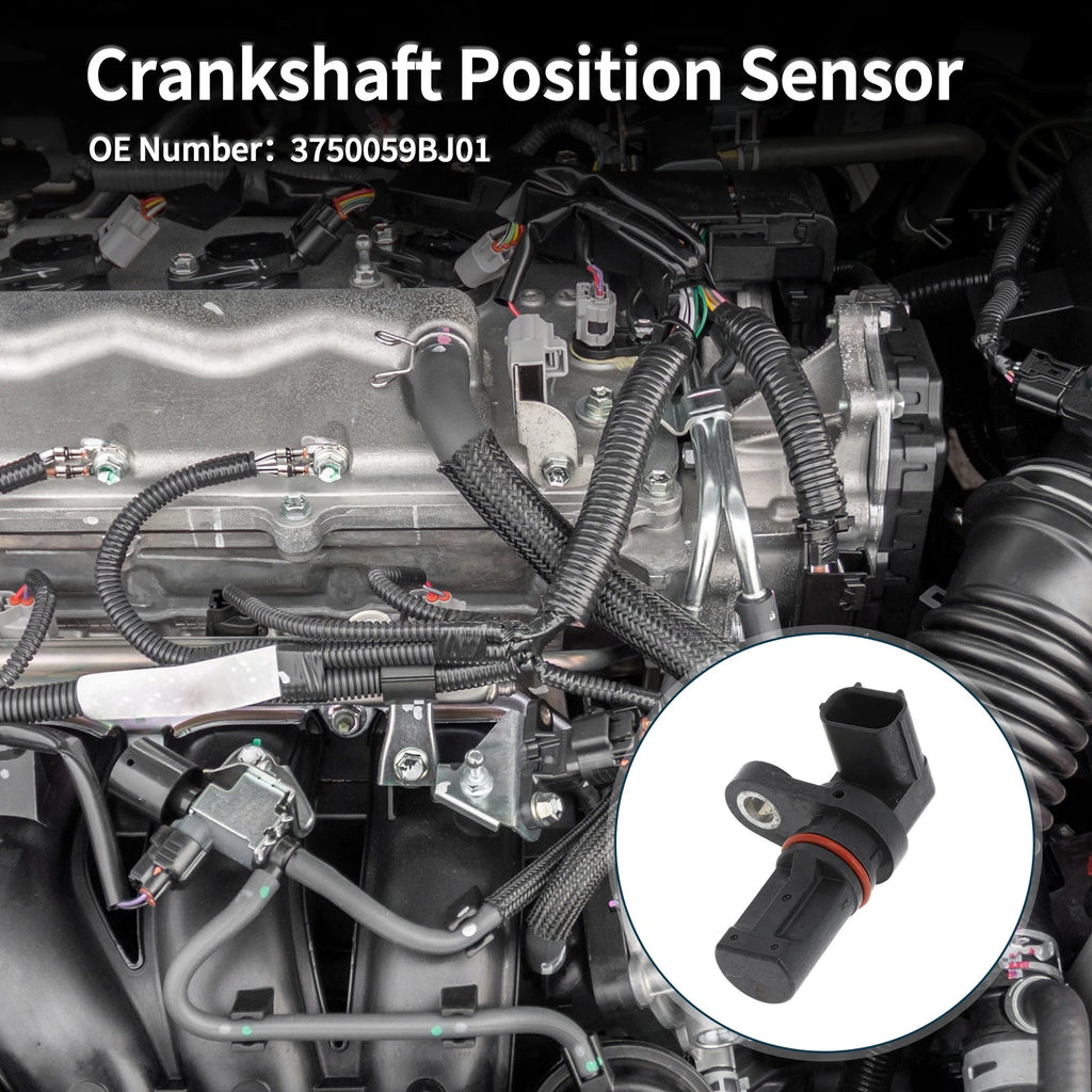 Crankshaft Position Sensor for Honda Civic 1.5 (2016–2024) No. 3750059BJ01