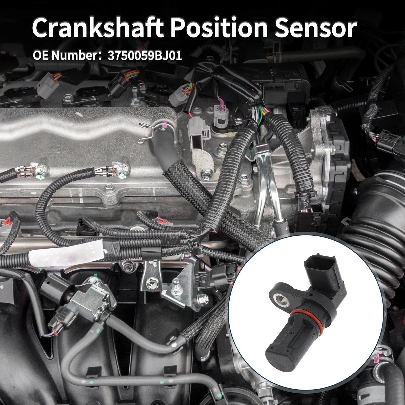 Crankshaft Position Sensor for Honda Civic 1.5 (2016–2024) No. 3750059BJ01