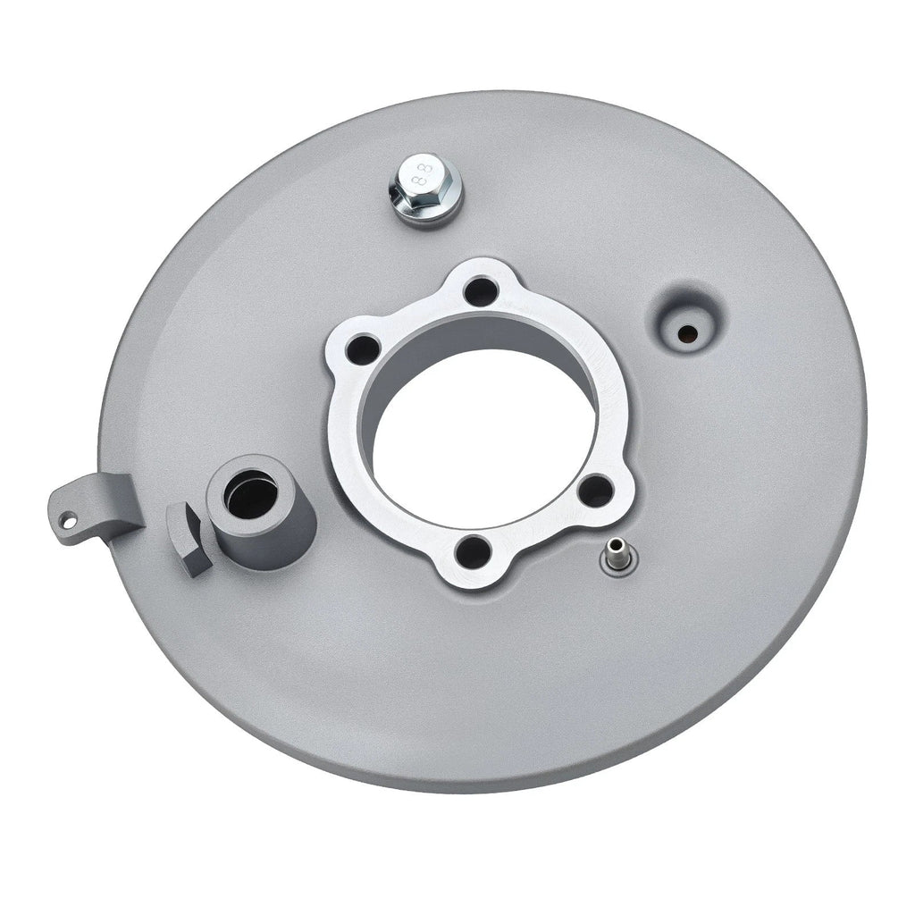 Rear Brake Drum Plate 2x4 4x4 for Yamaha Big Bear 350 (1996–1999)