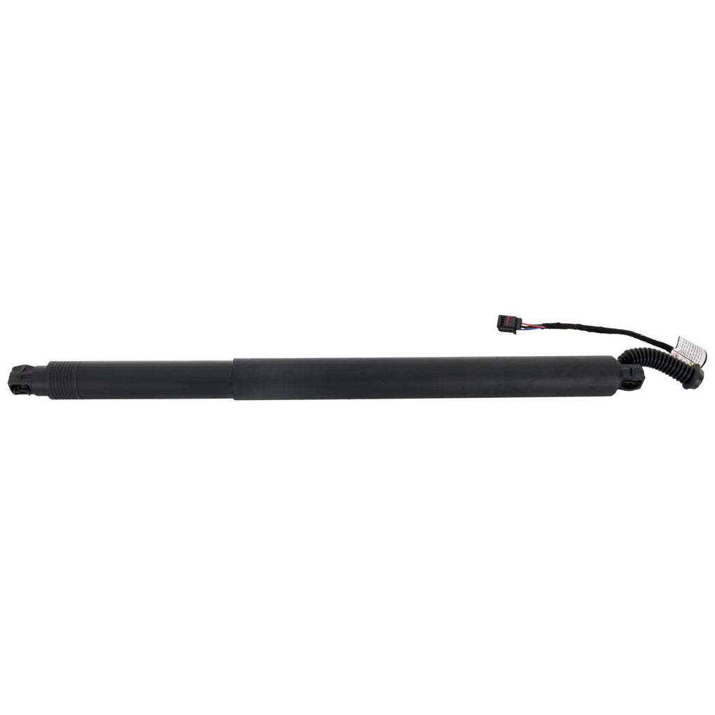 Liftgate Lift Supports for Kia (Driver or Passenger Side)