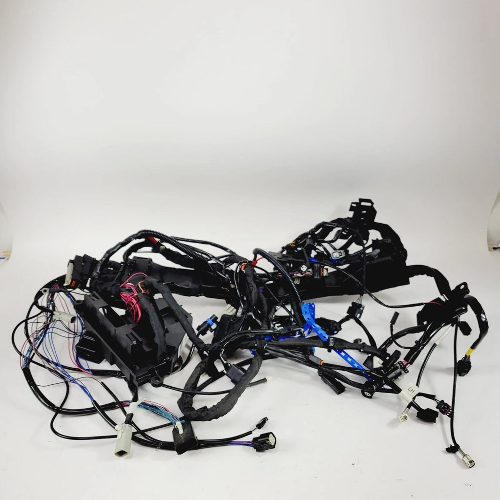Main Wiring Harness Loom for Harley-Davidson Tri Glide ABS FLHTCUTG (2021–2024)