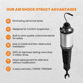 Air Absorber Spring Shock Strut Front Left for Audi A8 Quattro S8 (2003–2010) 4E0616039AH