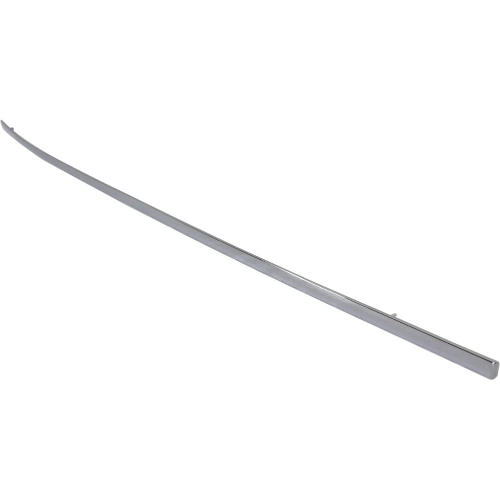 Door Molding and Beltlines for Mercedes S Class (Right Side)