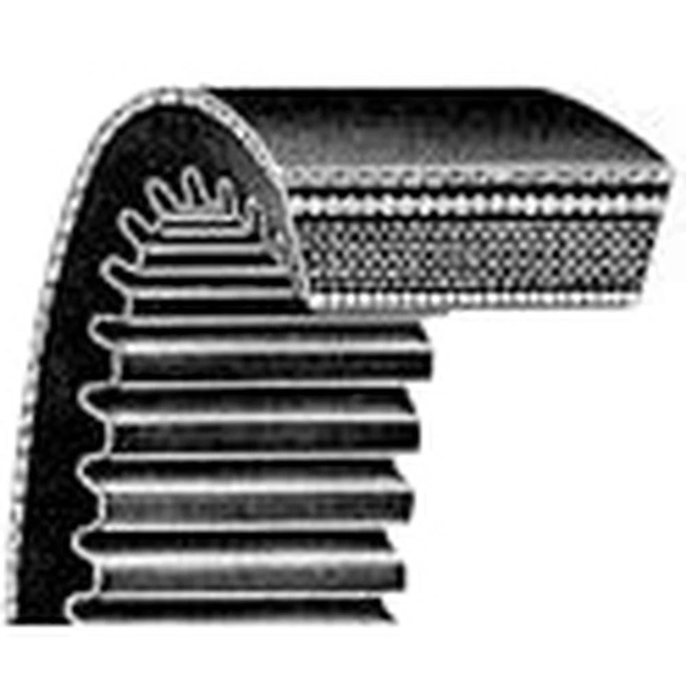 Replacement Ribbed Auto Belt for Universal Products (1922–1922)