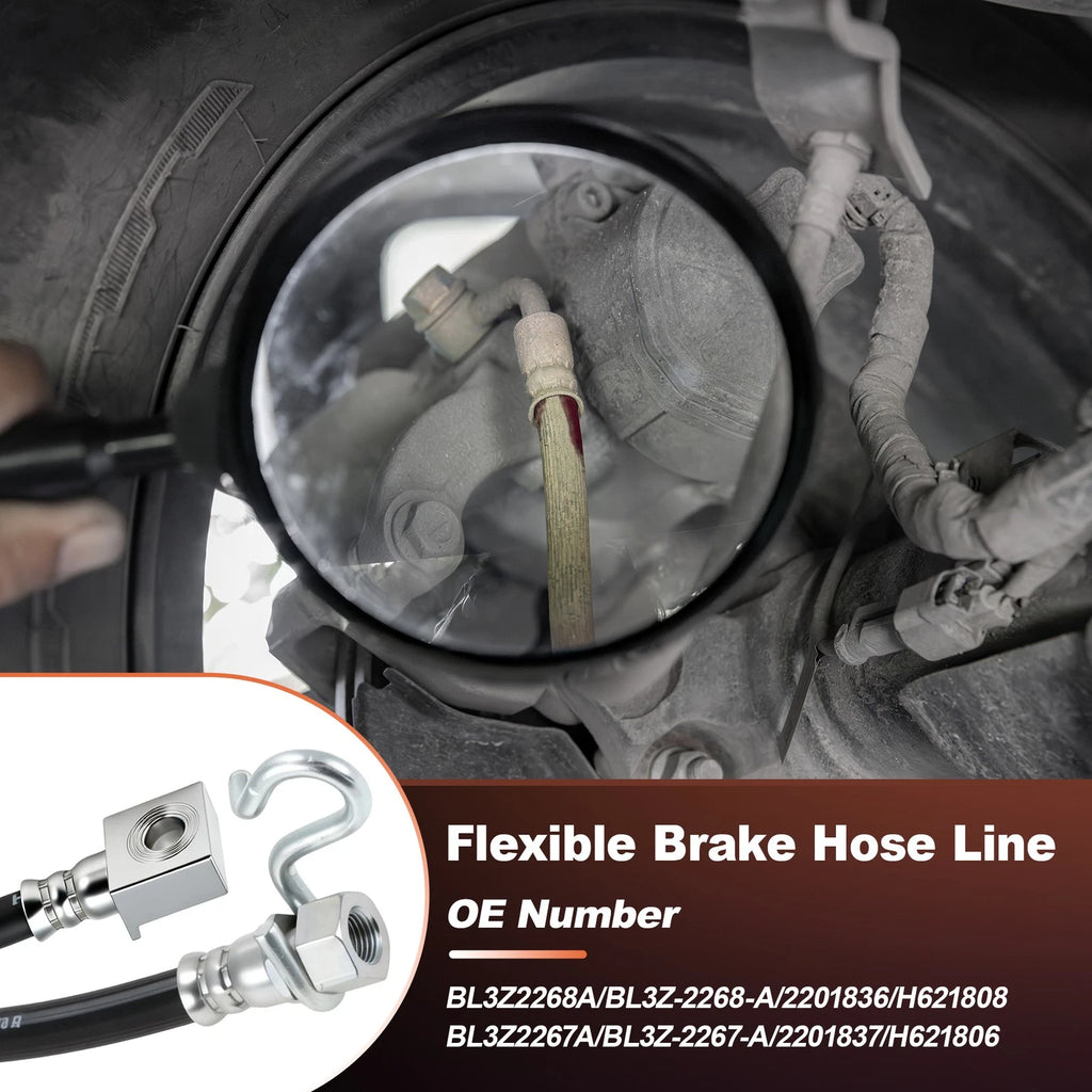 Rear Outer Brake Hydraulic Hose for Ford F-150 Lobo (2009–2011) BL3Z2268A
