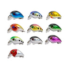 12pc Fishing Bait Set for Freshwater White Bream & Saltwater Bass