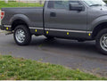 10p LuxuryFX Chrome 1 1/2' Molding Insert w/o Flares for 2009-2014 Ford F150 8'
