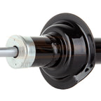 Set of 2 Rear Shock Struts for Nissan Sentra (1995–1999)