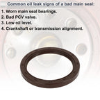 1 Pc Rear Crankshaft Oil Seal for Honda Accord (1990–2002) No. 91214-PAA-A01/91214-PLE-003