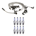 Denso 8mm Wire Set & 8 U-Groove Spark Plugs Kit for Ford 7.5L V8 (1979–1995)