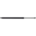 Liftgate Struts Set of 2 for CX-50