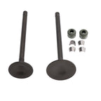 Valve Set Inlet & Exhaust for CG150 ATV Quad Pit Bike Dirt Bike Buggy (150CC)