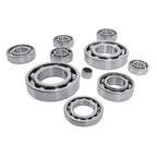 Bearing Kit for Honda TRX 350 (2000-2006)