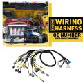 Engine Harness for Honda Civic Integra B-Series (OBD2)