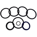 Cylinder Seal Kit for Gehl HL4300 HL4400 HL4500 HL4600 HL4700 (061162)