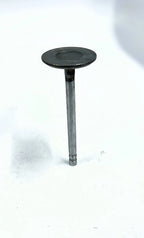 Intake Valve for GM (14025571)