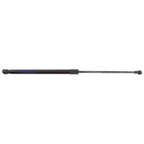 Hood Lift Supports Set of 2 for RX450h