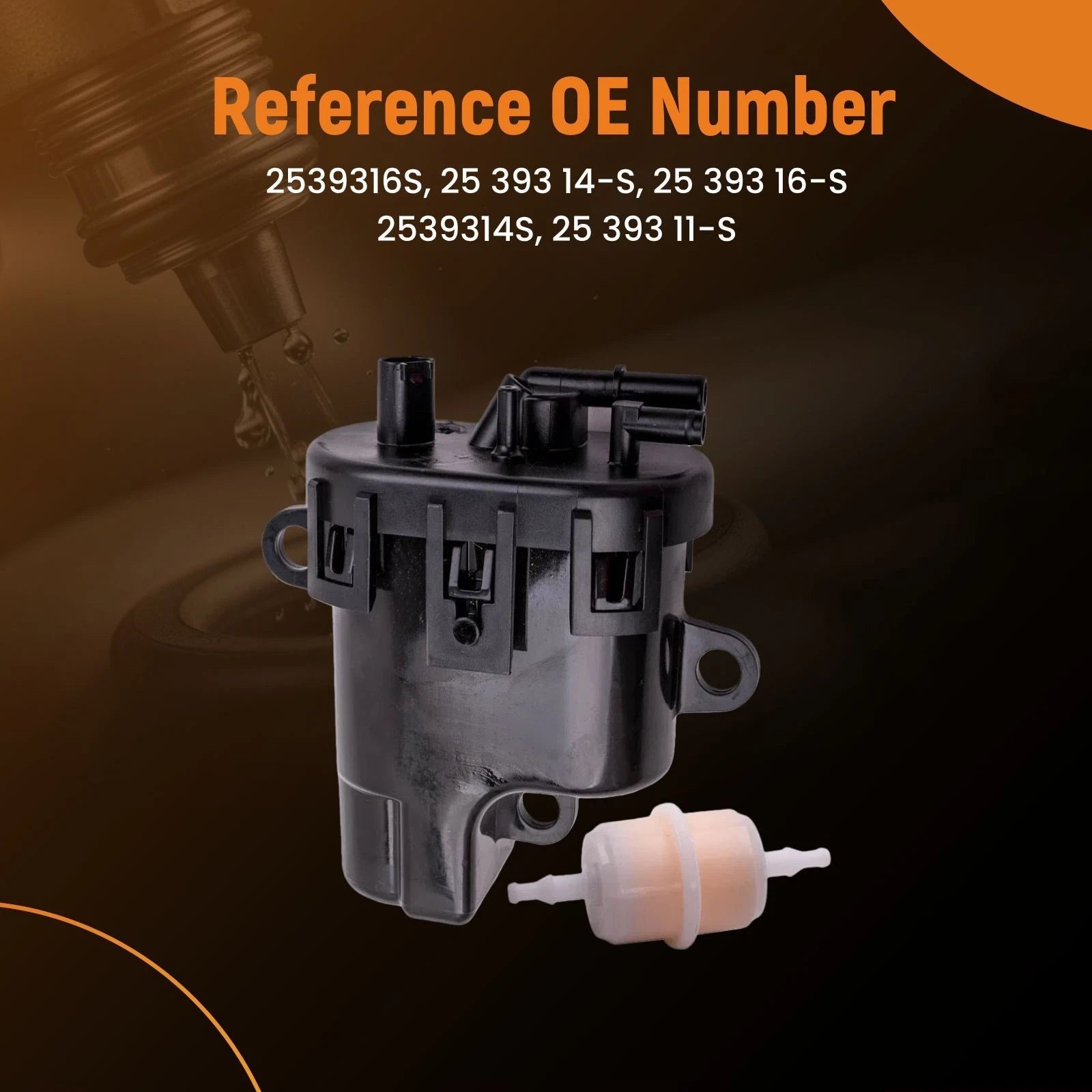 Fuel Pump Module & Filter for ECH ECV 25