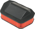 HIFLOFILTRO Air Filter for Yamaha (HFA4919)